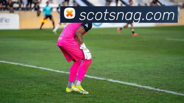 ag官网服务体系